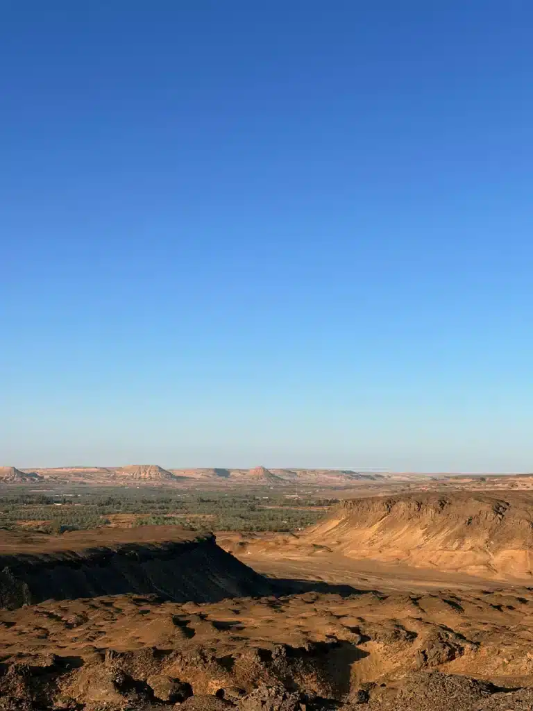 Palm groves of Bahariya Oasis seen from above