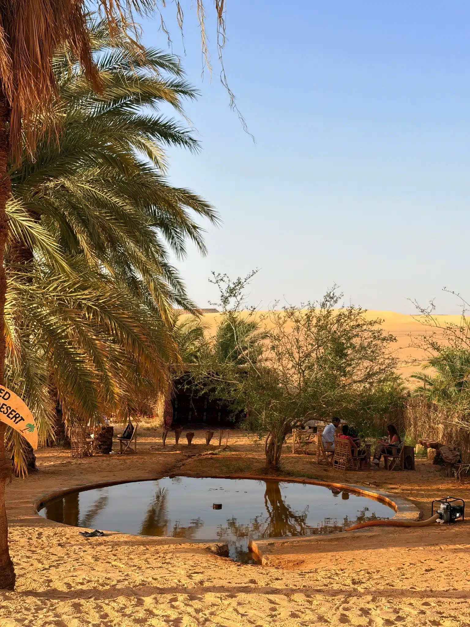 Bir Wahed spring pool in Siwa Oasis, Egypt