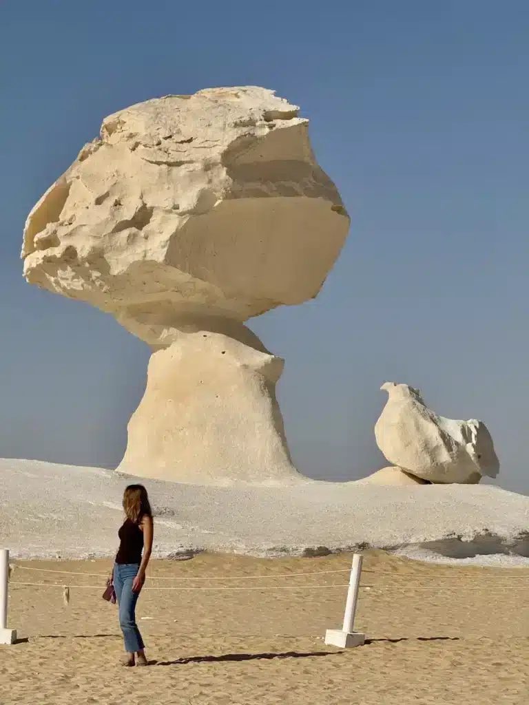 Traveler beside the Mushroom and Chicken rock formations in the White Desert