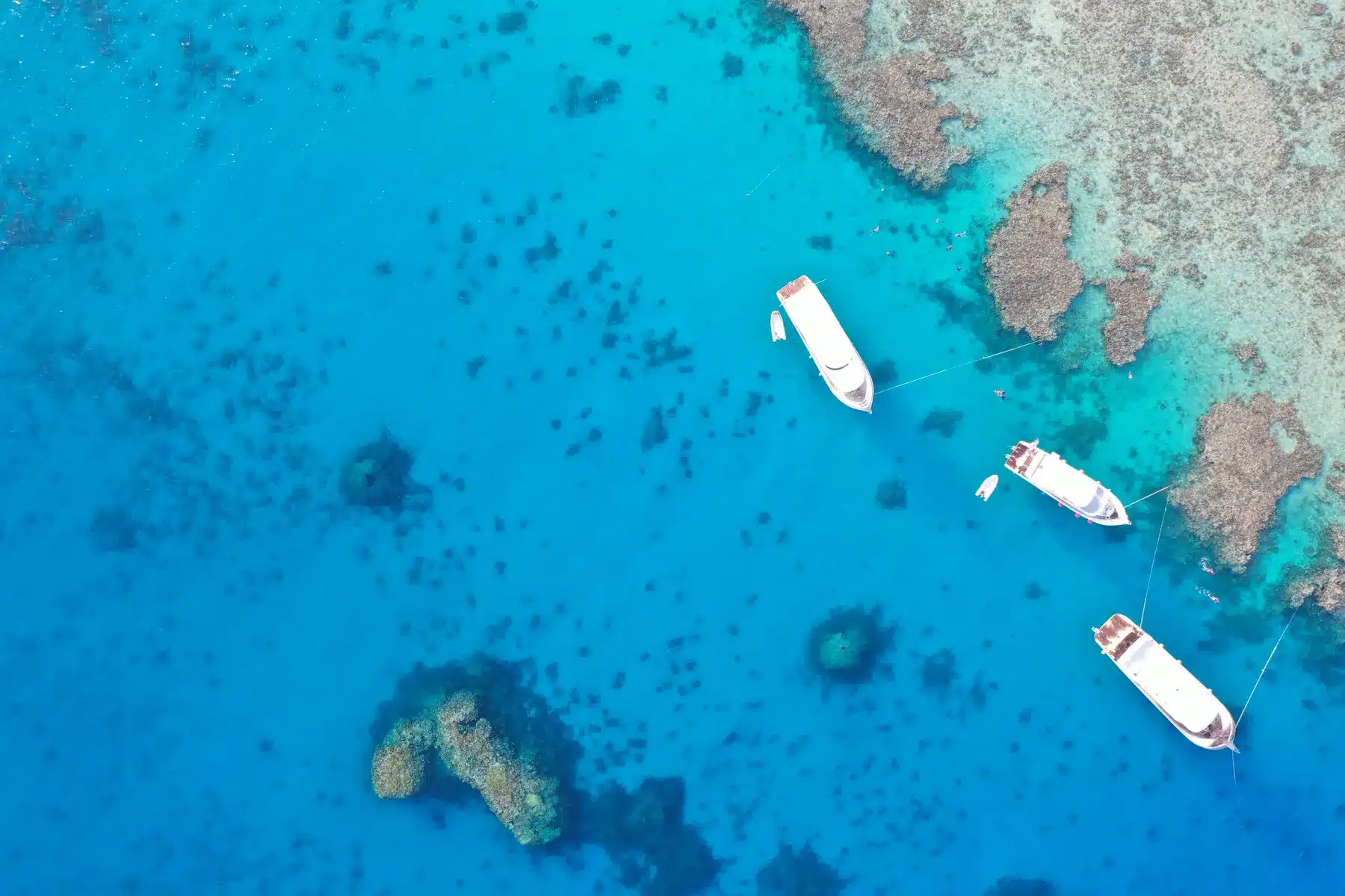 Aerial view of boats beside coral reefs in the Red Sea, Egypt