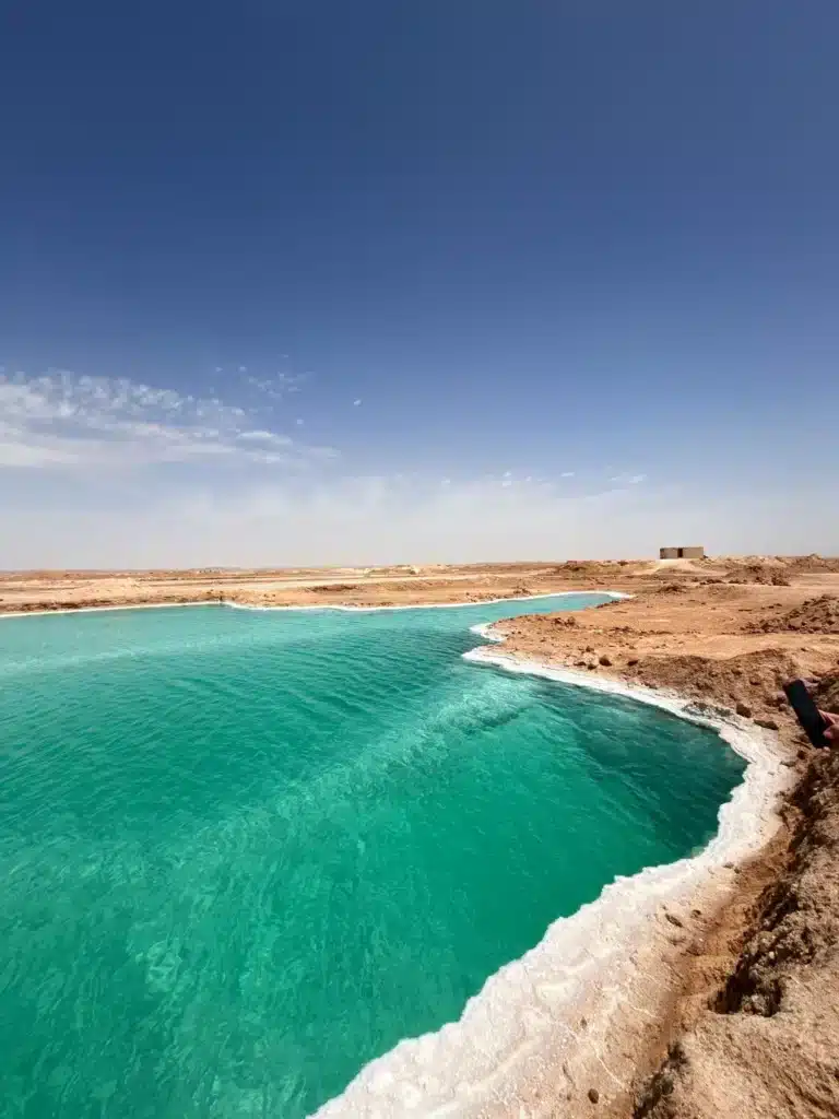 Turquoise salt lake with white mineral shores, Siwa